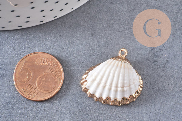 Pendentif coquillage naturel coque laiton doré 21-25mm, x1 (G6464)