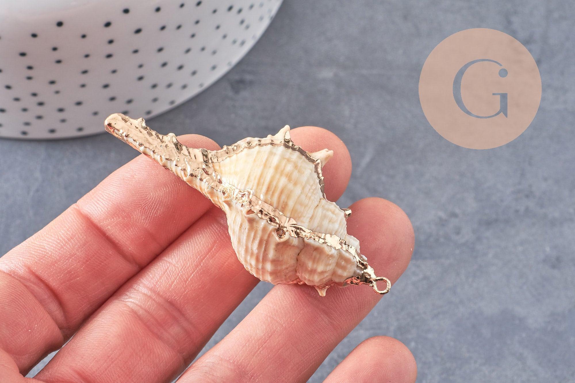 Pendentif coquillage naturel doré 50~64mm, x1 (G6465)