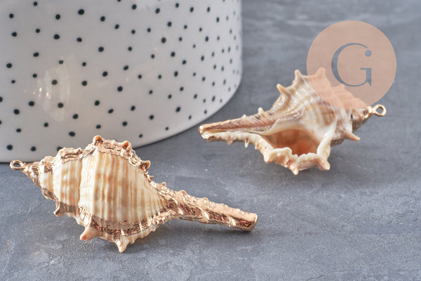 Pendentif coquillage naturel doré 50~64mm, x1 (G6465)