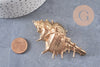 Pendentif coquillage naturel doré 57-78mm, pendentif doré pour création bijoux vacances x1 G1612