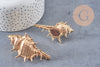Pendentif coquillage naturel doré 57-78mm, pendentif doré pour création bijoux vacances x1 G1612