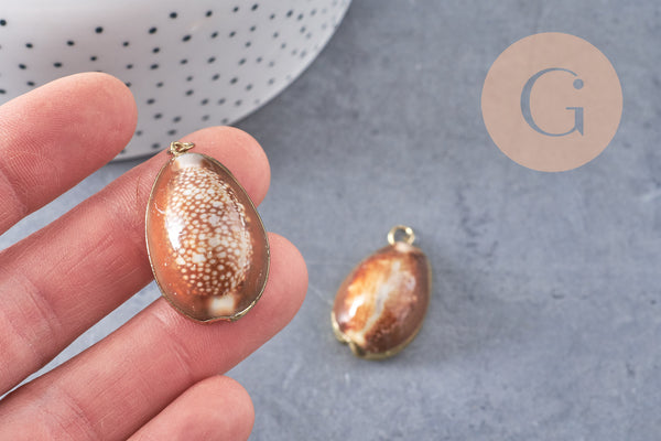 Pendentif coquillage naturel doré, pendentif doré, création bijoux, coquillage Conch bijou, coquillage naturel, 28mm (G0878)