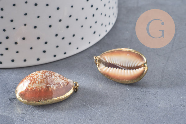 Pendentif coquillage naturel doré, pendentif doré, création bijoux, coquillage Conch bijou, coquillage naturel, 28mm (G0878)