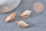 Pendentif coquillage naturel fer doré 26-52mm,x1 (G0133)