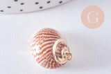 Pendentif coquillage naturel laiton doré 25-30mm, x1 (G0708)