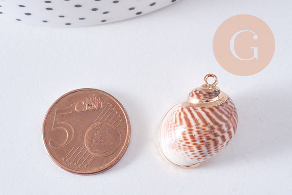 Pendentif coquillage naturel laiton doré 25-30mm, x1 (G0708)