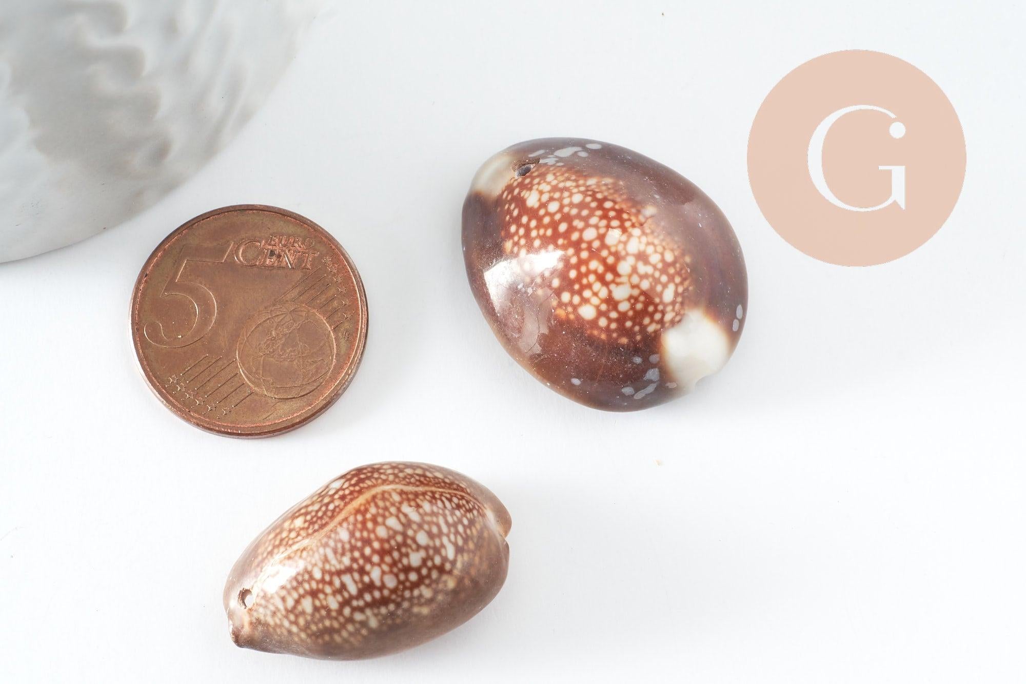 Pendentif coquillage naturel marron, coquillage porcelaine, pendentif coquillage, création coquillage bijou, x1 G0707
