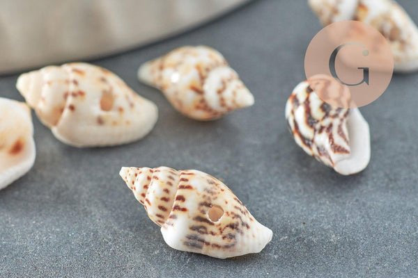 Pendentif coquillage naturel marron et blanc , coquillage percé pendentif coquillage, x20 (G1981)