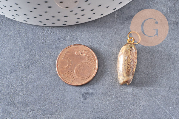 Pendentif coquillage naturel spirale doré, fourniture créative, doré, création bijoux, coquillage bijou,coquillage or,21-31mm G5131