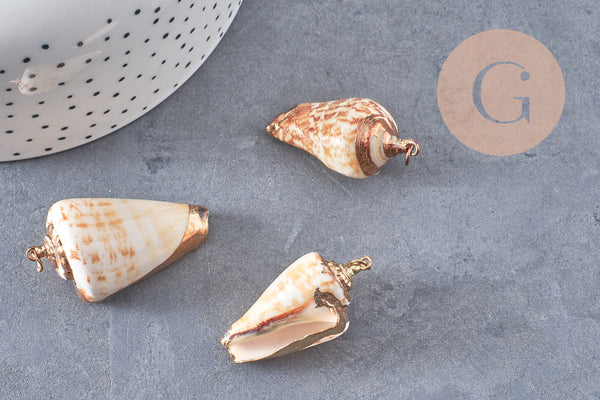 Pendentif coquillage naturel spirale doré, pendentif doré, création bijoux, coquillage bijou,coquillage or, 36-46mm-G6463