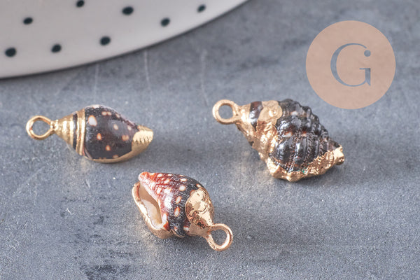 Pendentif coquillage noir spirale doré 16-20mm,création bijoux coquillage or, x2 G2675