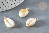 Pendentif coquillages cauri blanc fil doré 18K 27-30mm, x1 (G7353)