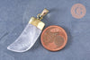 Pendentif corne cristal de roche 37mm,pendentif bijoux, pendentif quartz naturel, pendentif pierre, x1 (G6660)