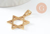 Pendentif étoile David acier 304 inoxydable doré 25mm, x1 (G9856)