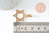 Pendentif étoile David acier 304 inoxydable doré 25mm, x1 (G9856)