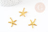 Pendentif étoile de mer laiton doré 23mm, pendentif marin pour creation bijoux, x5 G7044