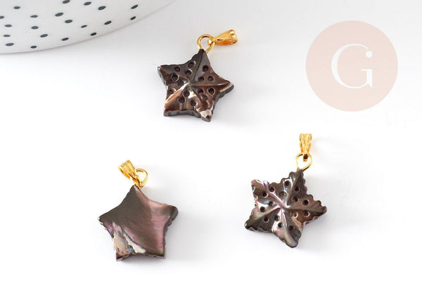 Pendentif étoile de mer noire nacre naturelle doré, coquillage noir, 18mm, x1 (G4366)