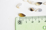 Pendentif goutte nacre naturelle 10mm,x 10 (G3876)