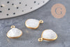 Pendentif goutte pierre de lune naturelle scuptée argent 925 doré 18K 14mm, x1 (G10841)