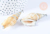Pendentif grand coquillage naturel spirale beige argenté 58-66mm, pendentif création bijoux coquillage, x1 G7160