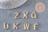 Pendentif lettre bambou zamac doré 18k 14-18mm, x1 (G4810)