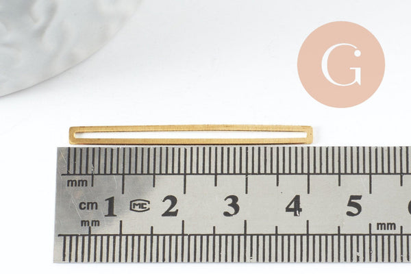 Pendentif médaille rectangle laiton brut 40x3mm, x5 (G3233)