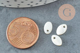 Pendentif ovale nacre blanche naturelle,perle ovale, coquillage blanc,8mm,x20 (G4152)