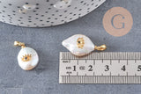 Pendentif perle naturelle Keshi oeil laiton doré 17-27mm x1 (G2028)