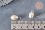 Pendentif perle naturelle de culture coquillage argenté-16-17mm, x1 (G6802)
