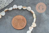 Perle coeur nacre blanche naturelle 6mm ,perle coeur nacre,coquillage blanc, fil de 39cm, x1 (G5862)