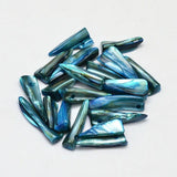 Perle dent coquillage naturel bleu 22-35mm, x10 (G5901)