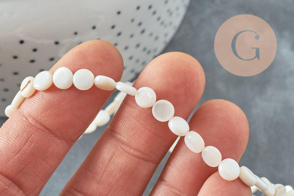 Perle disque nacre coquillage blanc naturel 6mm, x1 fil de 39cm (G5580)