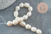 Perle eau douce naturelle blanche 10-14mm, x1 fil de 8cm (G1940)