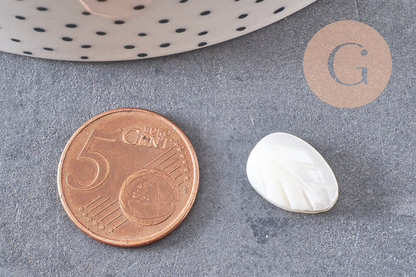 Perle feuille nacre blanche naturelle 9 ou 14mm, x10 (G5850)