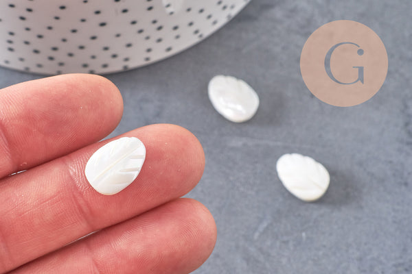 Perle feuille nacre blanche naturelle 9 ou 14mm, x10 (G5850)