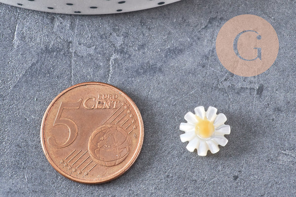 Perle fleur marguerite nacre naturelle, perle fleur,nacre naturelle,coquillage blanc,création bijoux,10mm, x1 G4218
