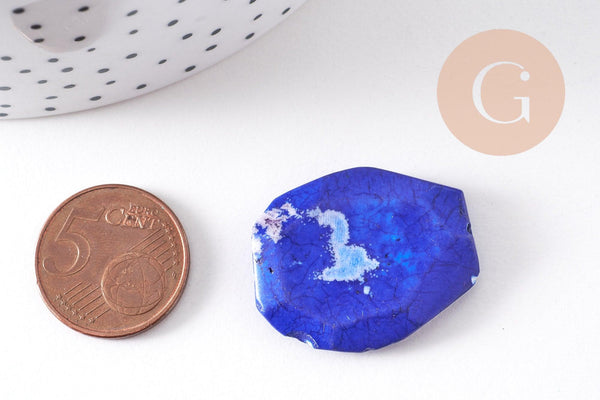 Perle hexagonale howlite bleue, howlite naturelle, perle bleue, x5 (G5491)