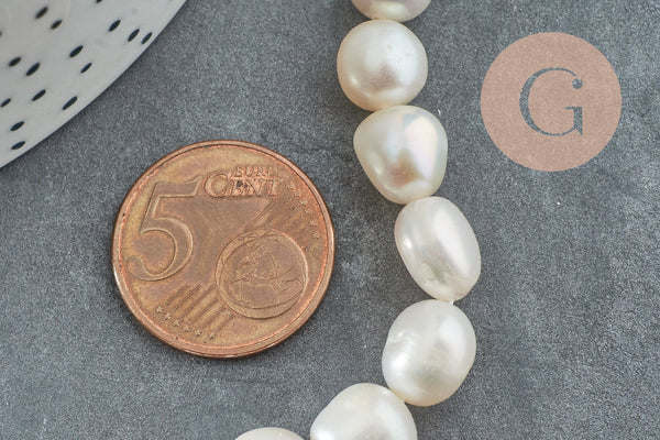 Perle naturelle blanche eau douce, 8-9mm, x1 fil de 33cm (G2433)