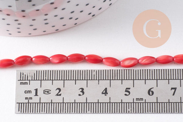 Perle ovale nacre, perles coquillage,grain de riz,coquillage naturel,fil 50 perles (G0982)