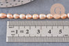 Perle ovale naturelle couleur pêche, perle de culture d'eau douce percée,4-5mm, fil de 36cm, x1 (G2557)