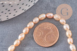 Perle ovale naturelle couleur pêche, perle de culture d'eau douce percée,4-5mm, fil de 36cm, x1 (G2557)