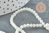 Perle ronde nacre blanche, perle ronde nacre,coquillage naturel,fil 40cm,3mm, x1 (G1725)