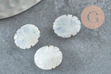 Perle scarabée pierre de lune naturel AAA 13mm, perle création bijou talisman pierre naturelle x1 G9232