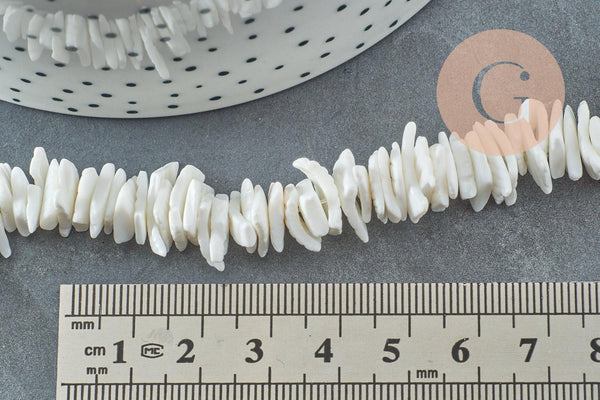 Perles chips coquillage naturel 6~12mm, x1 fil de 41cm (G3867)