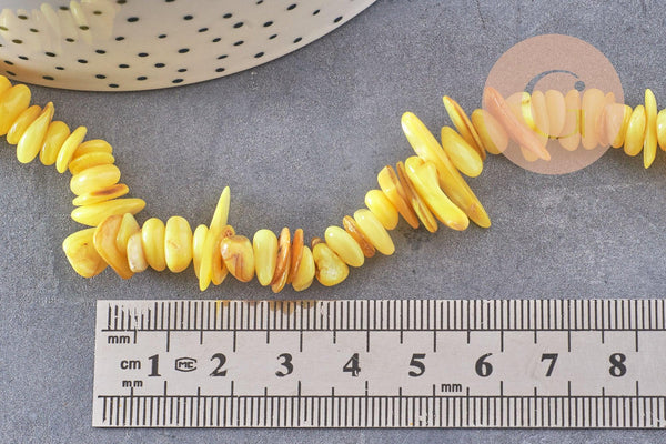 Perles chips de coquillage naturel jaune, 20mm,le fil 76cm, x1 (G8049)