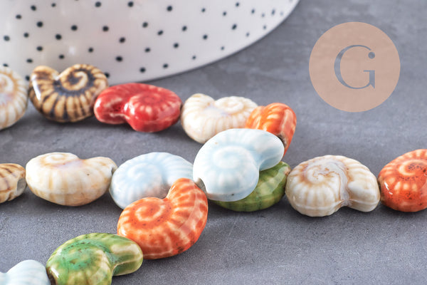 Perles coquillage escargot porcelaine multicolore 20.5mm, x1 fil de 35cm (G10325)