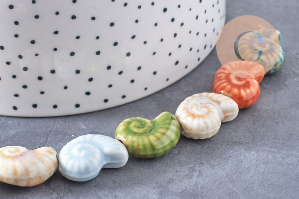 Perles coquillage escargot porcelaine multicolore 20.5mm, x1 fil de 35cm (G10325)