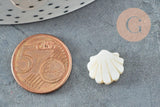 Perles coquillage nacre blanche naturelle 12mm, x2 (G3653)