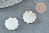 Perles coquillage nacre blanche naturelle 15.5mm, x2 (G3424)