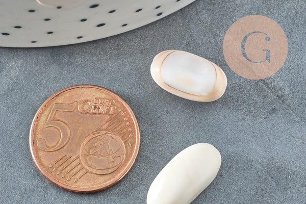 Perles coquillage naturel bisque beige 13-18mm, x10 (G0649)